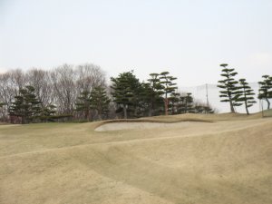 jpg