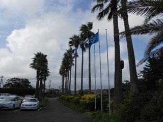 「コースフラッグの写真1」