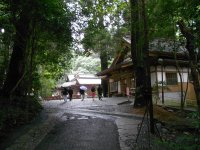 「散策の写真5」