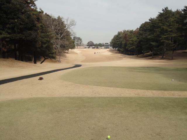 中１２