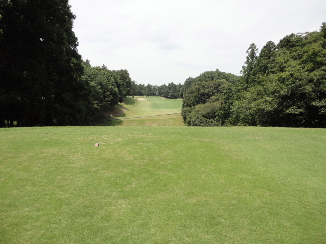 中１５