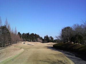 20100117