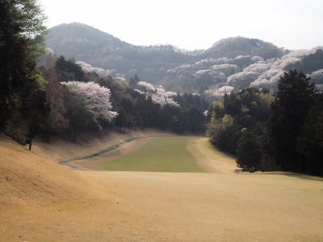 20110411｜伊勢原ＣＣ｜６番