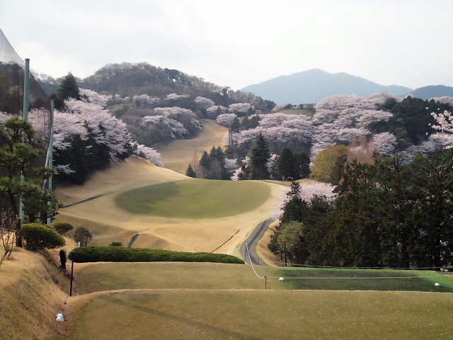 20110411｜伊勢原ＣＣ｜９番