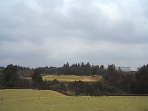 20100211