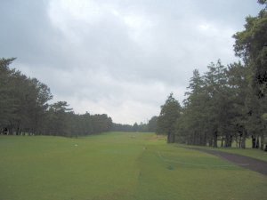 20090506