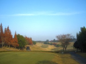20091017