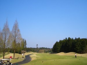 20090411