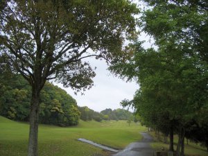 20090505
