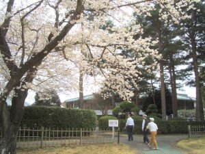20090405