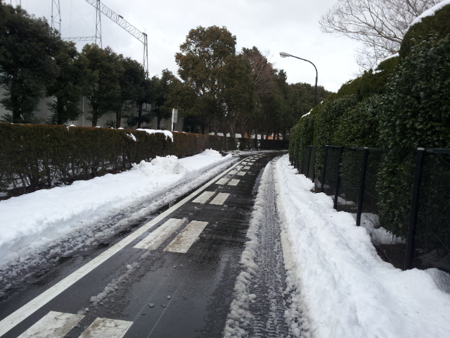 雪