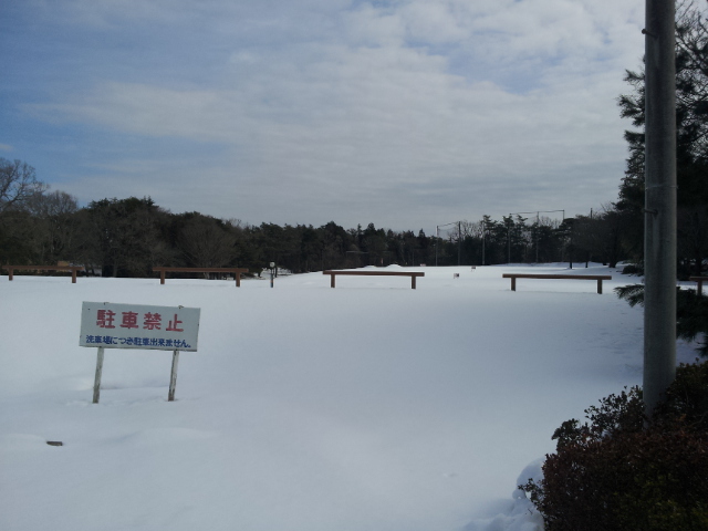 雪