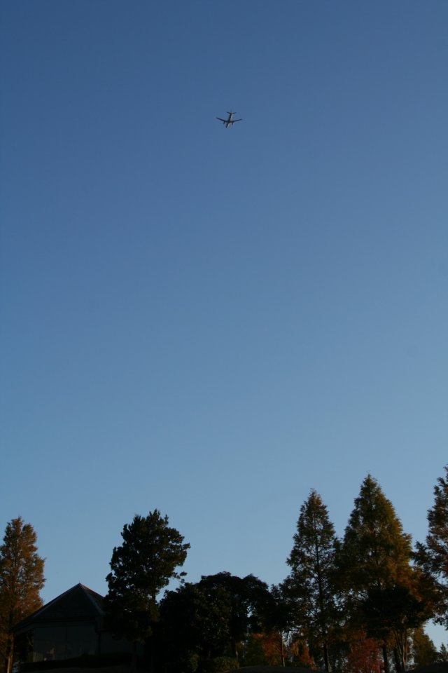 飛行機