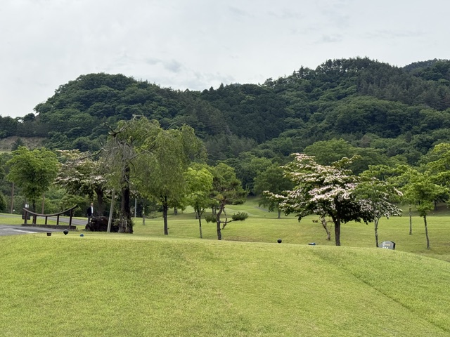 2026年6月2日（火）都　１．０Ｒ　くもり　6，395ｙ　アウト<span style="color: #d63638; font-weight: bold;">34</span>　イン38