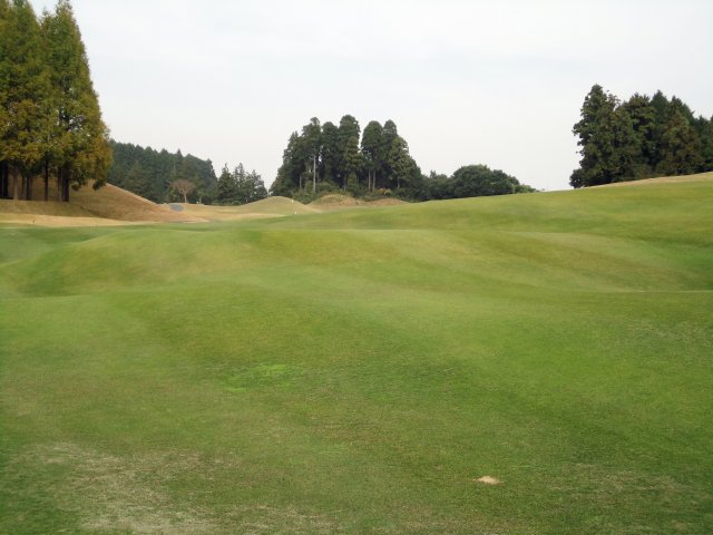 11月13日（土）京　１．０Ｒ　晴れ　6,811ｙ　アウト42　イン<span style="color: #d63638; font-weight: bold;">35</span>
