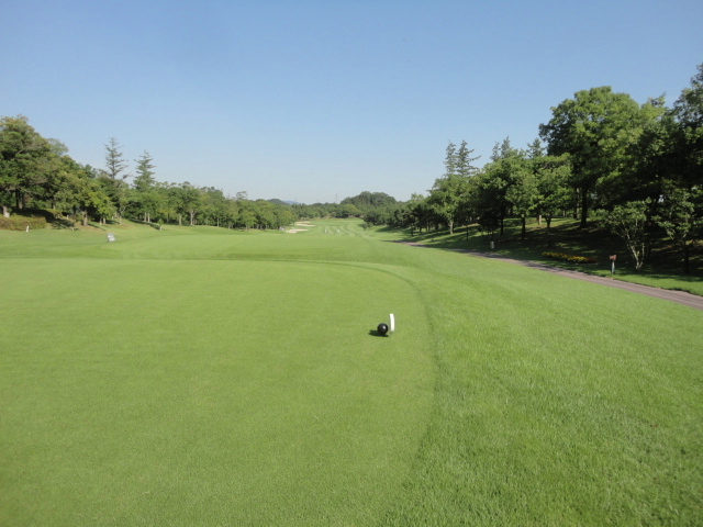 7月11日（月）森林公園　１．０Ｒ　晴れ　6,969ｙ　アウト40　イン40