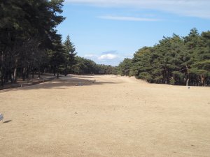 1月13日（日）江戸崎カントリー倶楽部 東　１．０Ｒ　晴れ　6,901Ｙ　アウト42　イン41