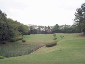 4月26日（土）中山　１．０Ｒ　曇り　6,500ｙ　イン41　アウト39