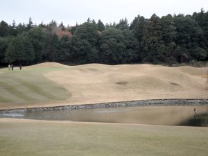 12月12日（土）京　１．０Ｒ　曇りのち晴れ　6,811ｙ　アウト42　イン41
