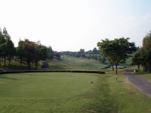 20080517