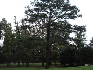 20081024