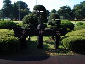 20081101