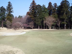20090319