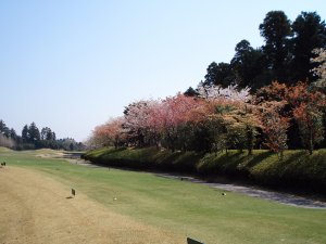20090411