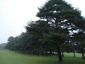 20081024