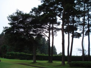 20081026