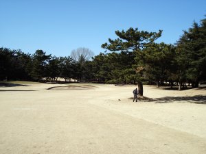 20090208
