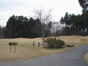 20090328