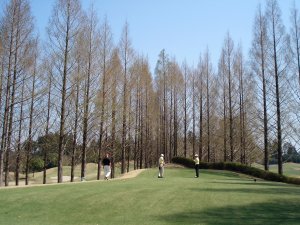 20090411