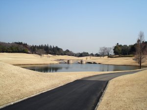20090319