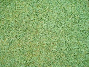 20091006