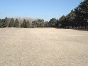 12月20日（日）中山　１．０Ｒ　晴れ　6,695ｙ　イン46　アウト43