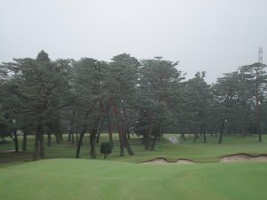 20081024