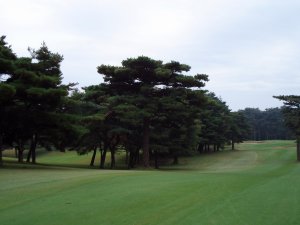 20081026