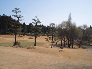 20090312
