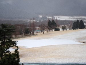 20090326