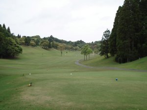20090505