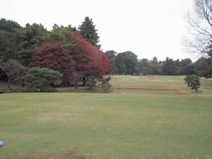 11月22日（日）中山　１．０Ｒ　曇り時々雨　6,695ｙ　アウト44　イン43