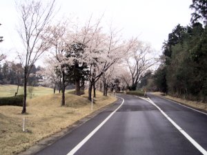 ４月２日（日）京　１．０Ｒ　曇り　6,811ｙ　アウト39　イン45