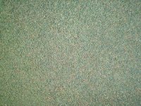 20080725