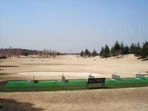 20090319