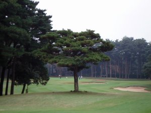 20081026