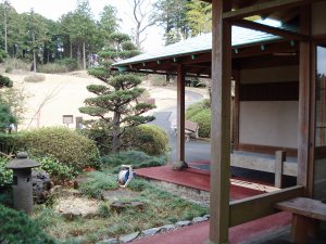 20090328
