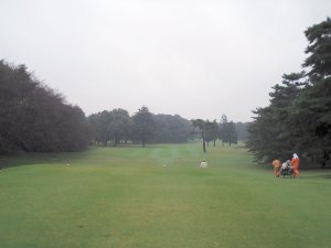 20091006