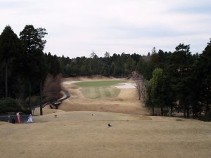 20090328