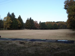 20081102